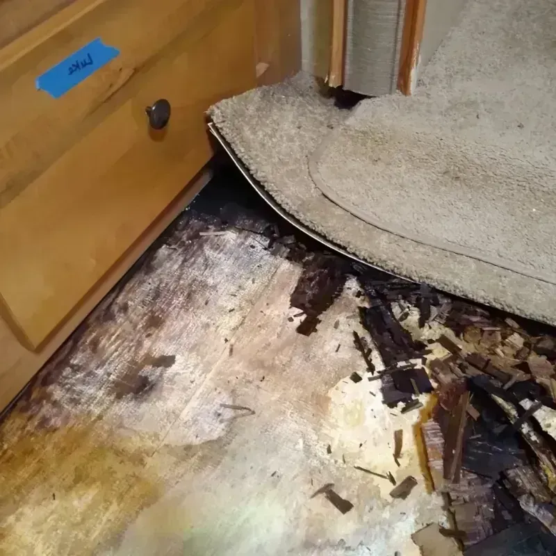 Wood Floor Water Damage in Roseville, MN